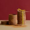 Cinnamon Container, Premium Spice & Spoon Large Set